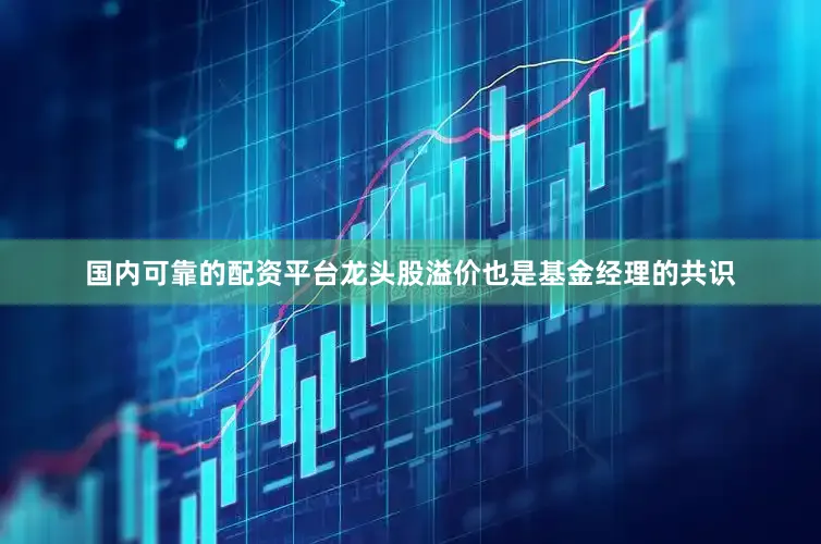 国内可靠的配资平台龙头股溢价也是基金经理的共识