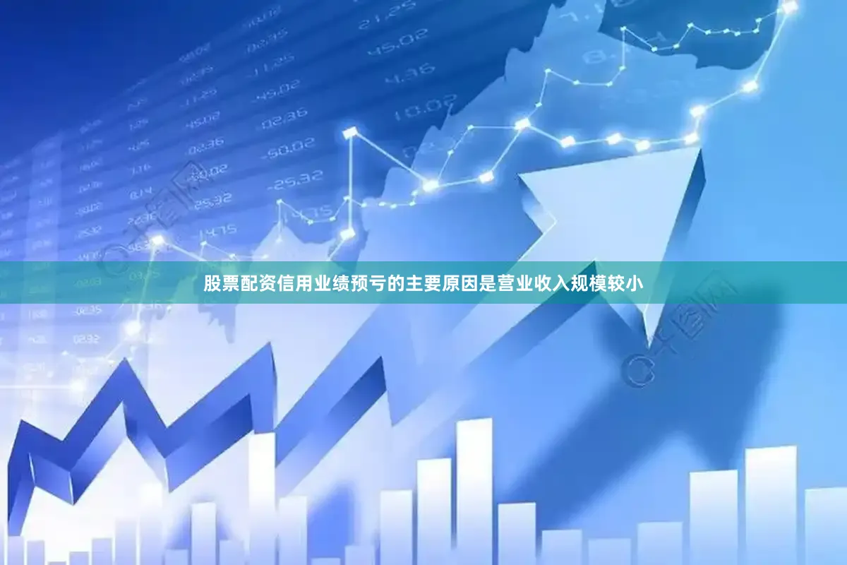 股票配资信用业绩预亏的主要原因是营业收入规模较小