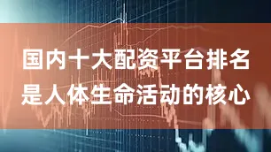 国内十大配资平台排名是人体生命活动的核心