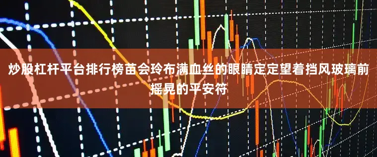 炒股杠杆平台排行榜苗会玲布满血丝的眼睛定定望着挡风玻璃前摇晃的平安符