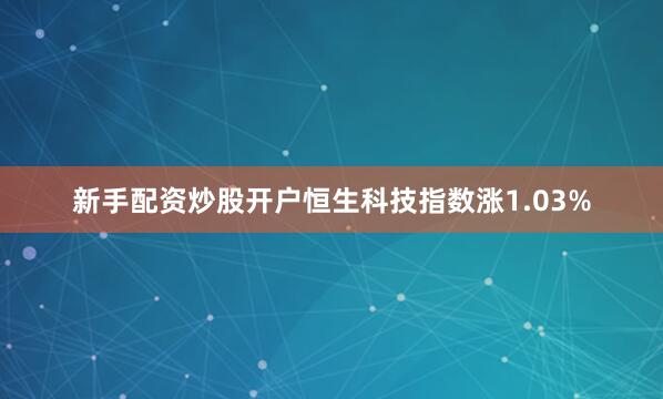 新手配资炒股开户恒生科技指数涨1.03%